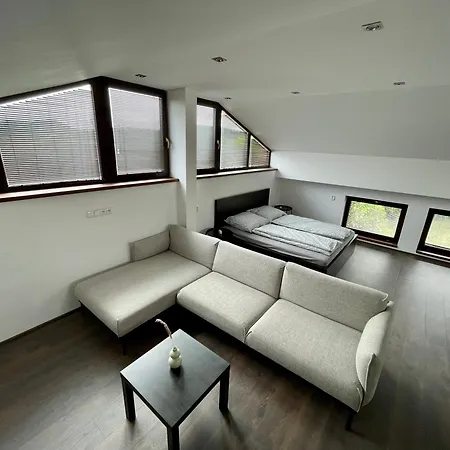Apartment With A View Kraluv Dvur Exterior photo